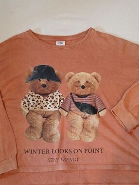 ZARA Rust Orange Teddy Graphic Long-Sleeve Tee